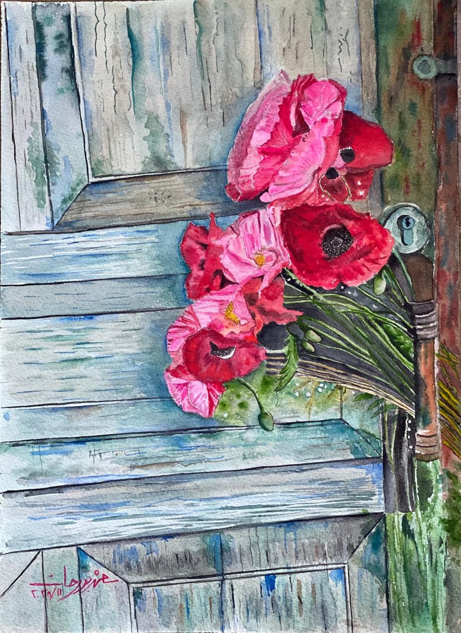 Poppies on the Old Door