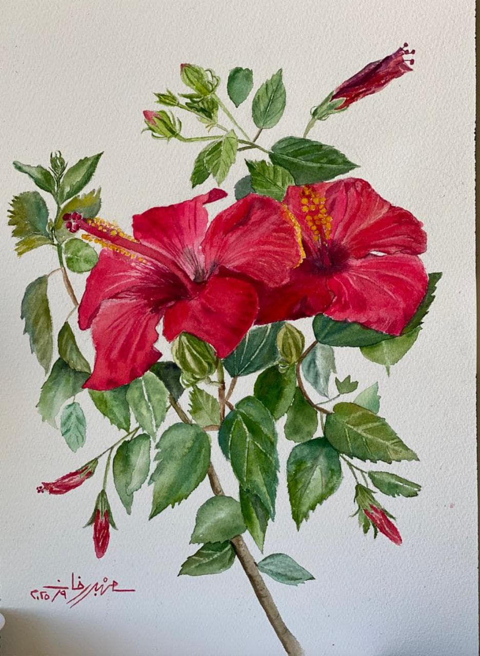 Hibiscus Branch