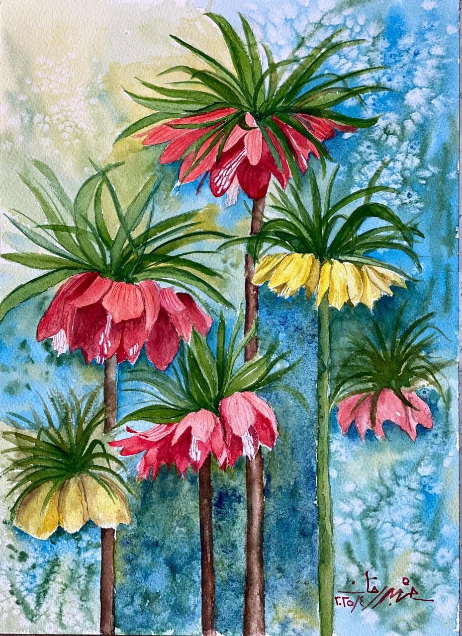 Crown Imperials