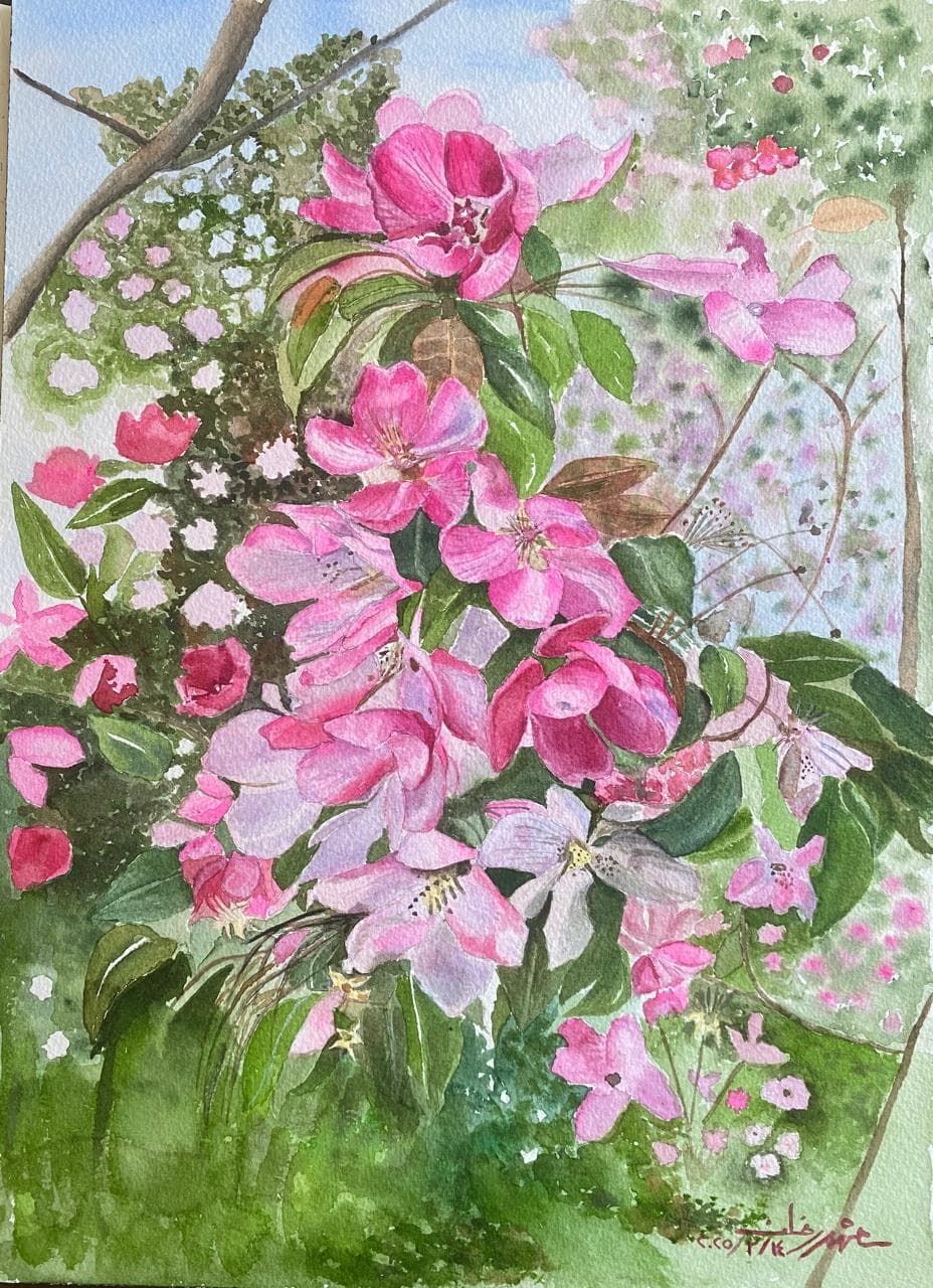 Spring Blossoms