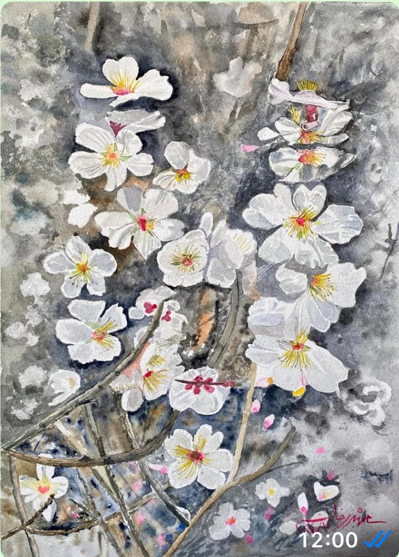 Almond Blossoms