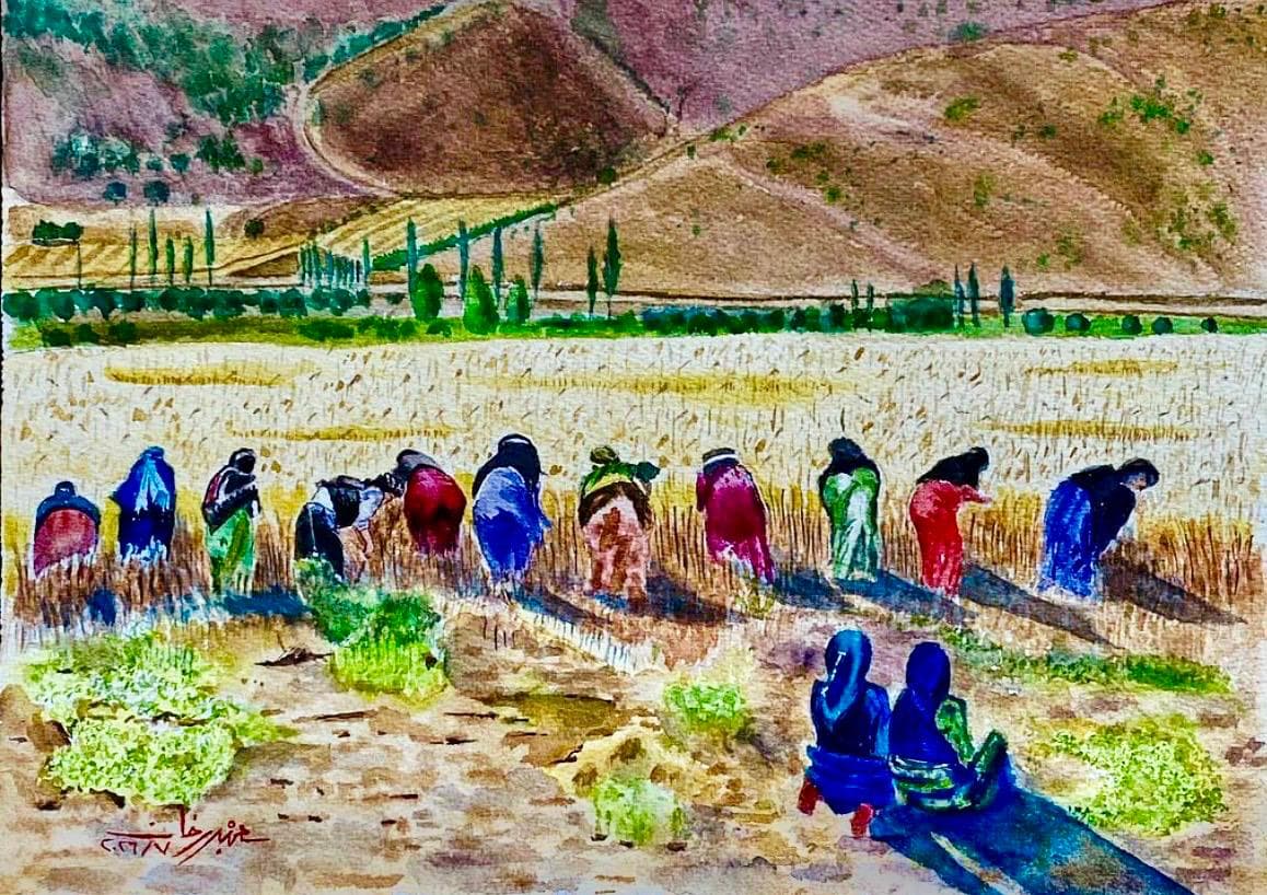 The Harvest