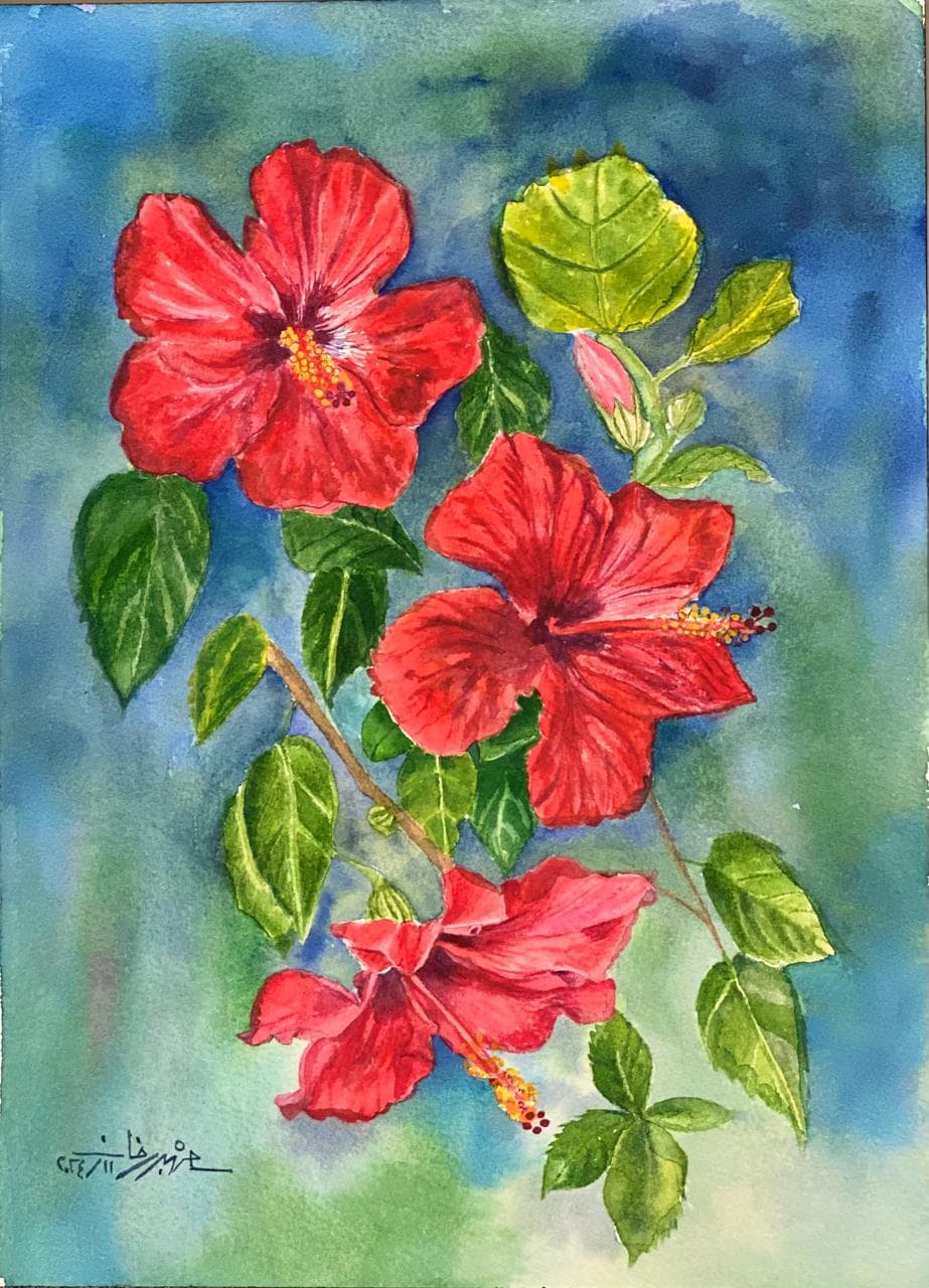 Hibiscus on Blue