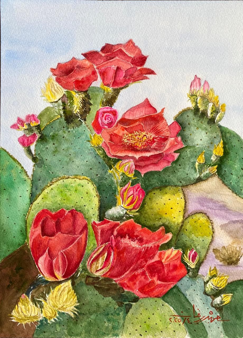 Cactus in Bloom II